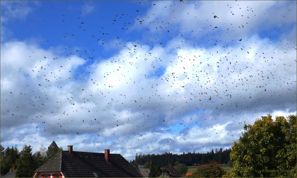 Haarscharf an unserem Balkon vorbei...