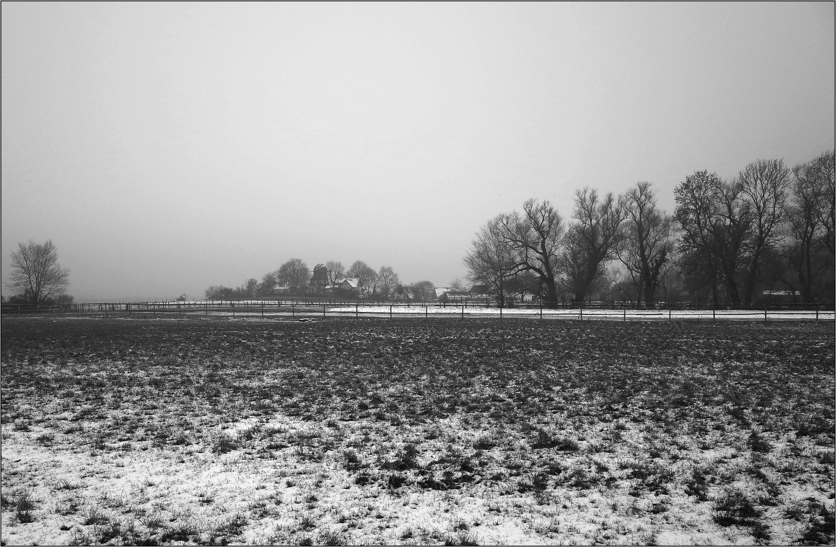 Haarstrang im Januar