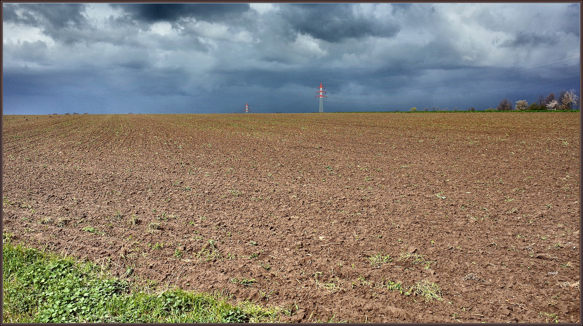 Haarstrangfrühling