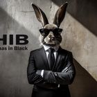 Haas in Black
