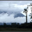 Haast Beach