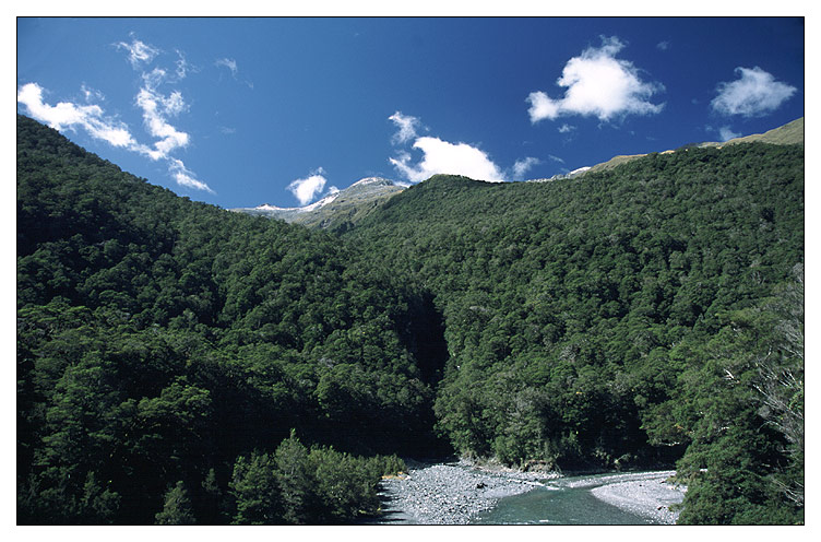 Haast Pass - Tor zur Westcoast