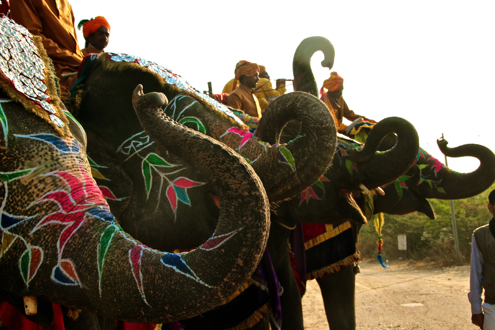 Haathi mere Saathi