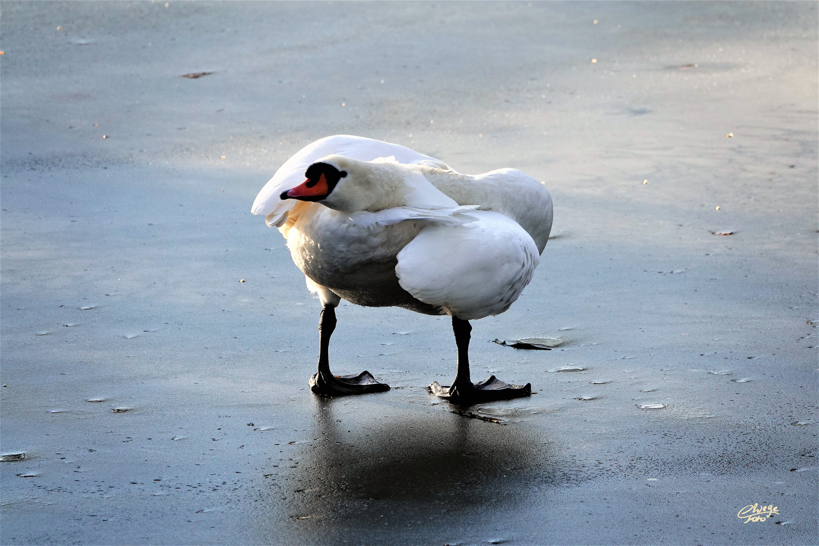 Hab' alles im Blick!