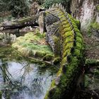 Hab am Samstag den Drachen auf dem Drachenfels besucht …