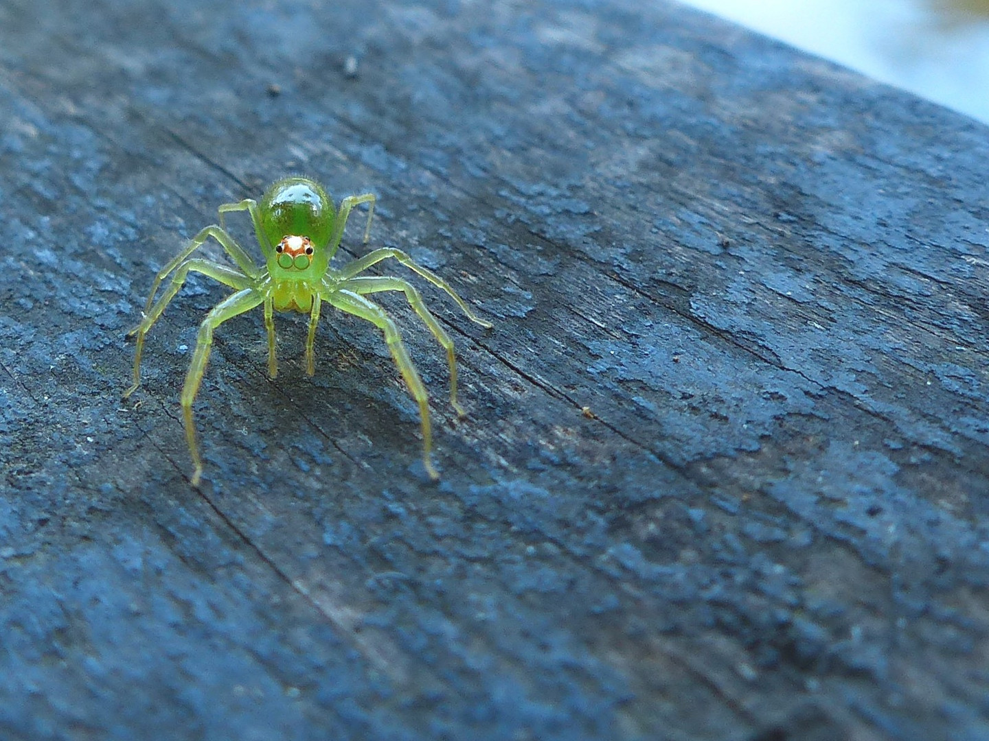 Hab Brille! Guckst Du