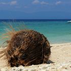 ...hab den Kopf am Strand verloren;-)))...