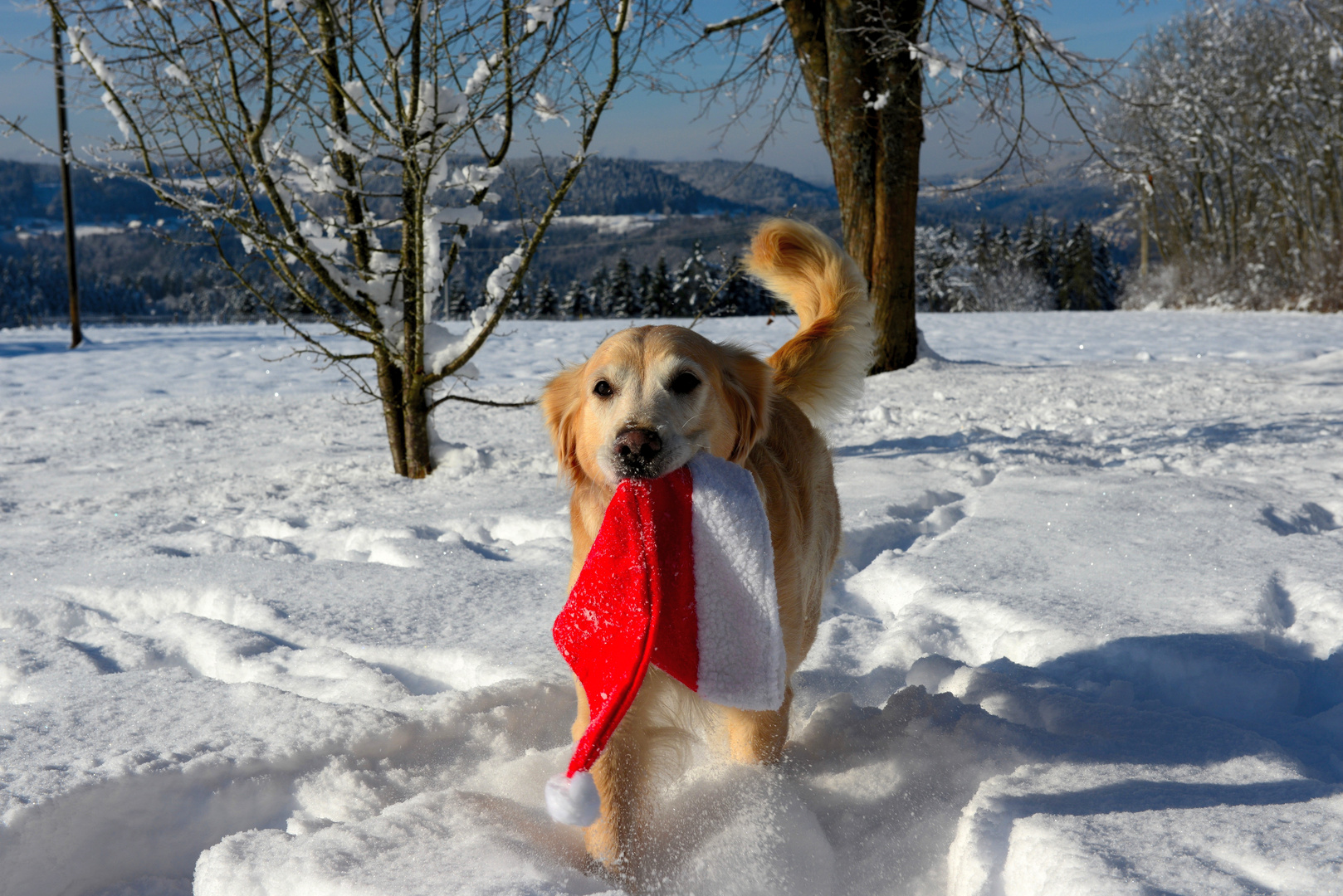 Hab den Weihnachtsmann getroffen....