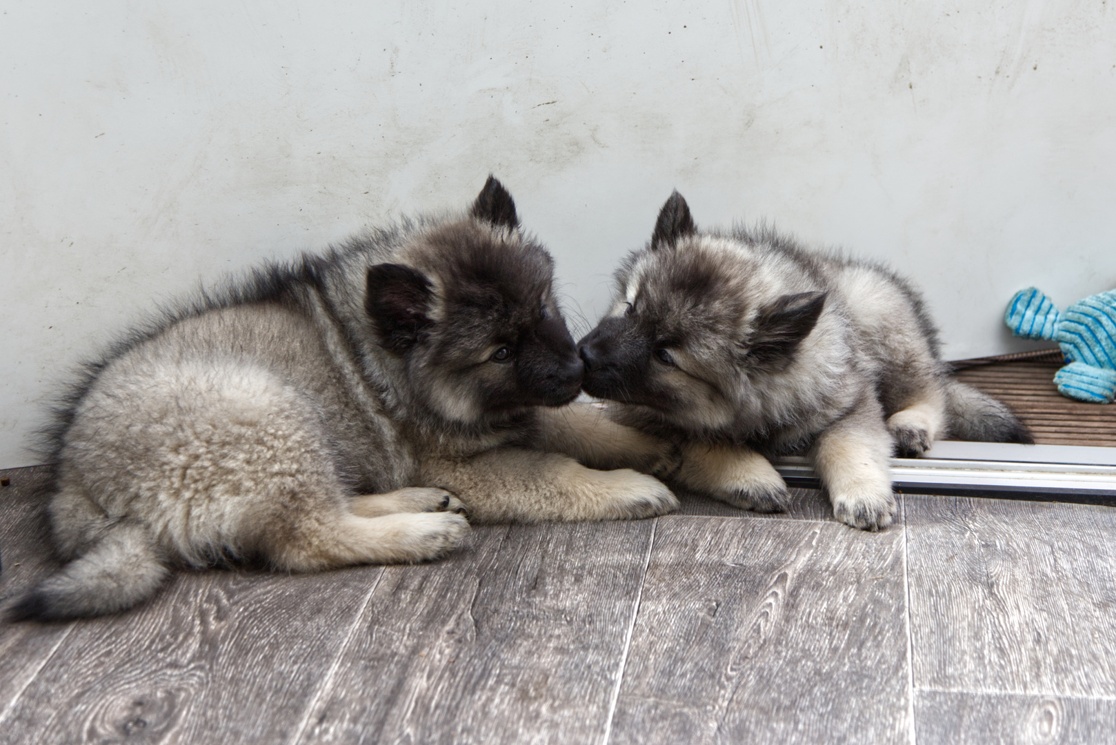 Hab dich lieb!