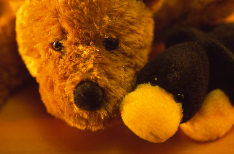 'hab Dich lieb...