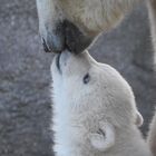 Hab dich lieb, Mama