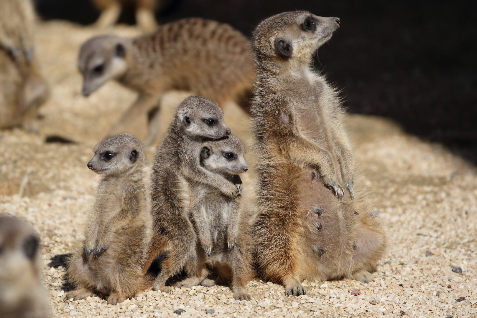 Hab Dich lieb, mein Kleiner Foto &amp; Bild | natur, zoo, tiere Bilder auf ...