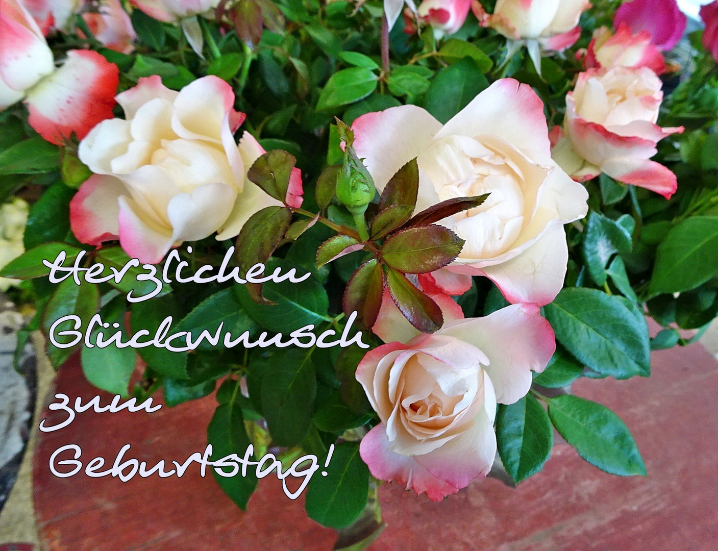 Hab Einen Schonen Foto Bild Geburtstag Karten Gluckwunsch Bilder Auf Fotocommunity