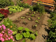 Hab heute den Garten neu bepflanzt - Langeweile, Hungern und Vitaminmangel ausgeschlossen (--: !