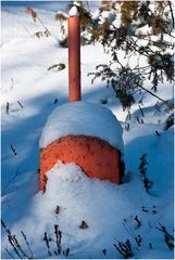 hab' ich da eine getarnte Fabrik im Wald enteckt?