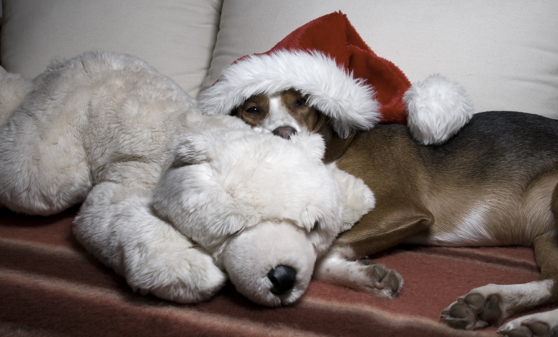 Hab' ich etwa Weihnachten verschlafen?