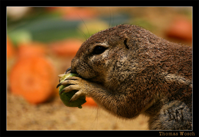 ...hab ich hunger!