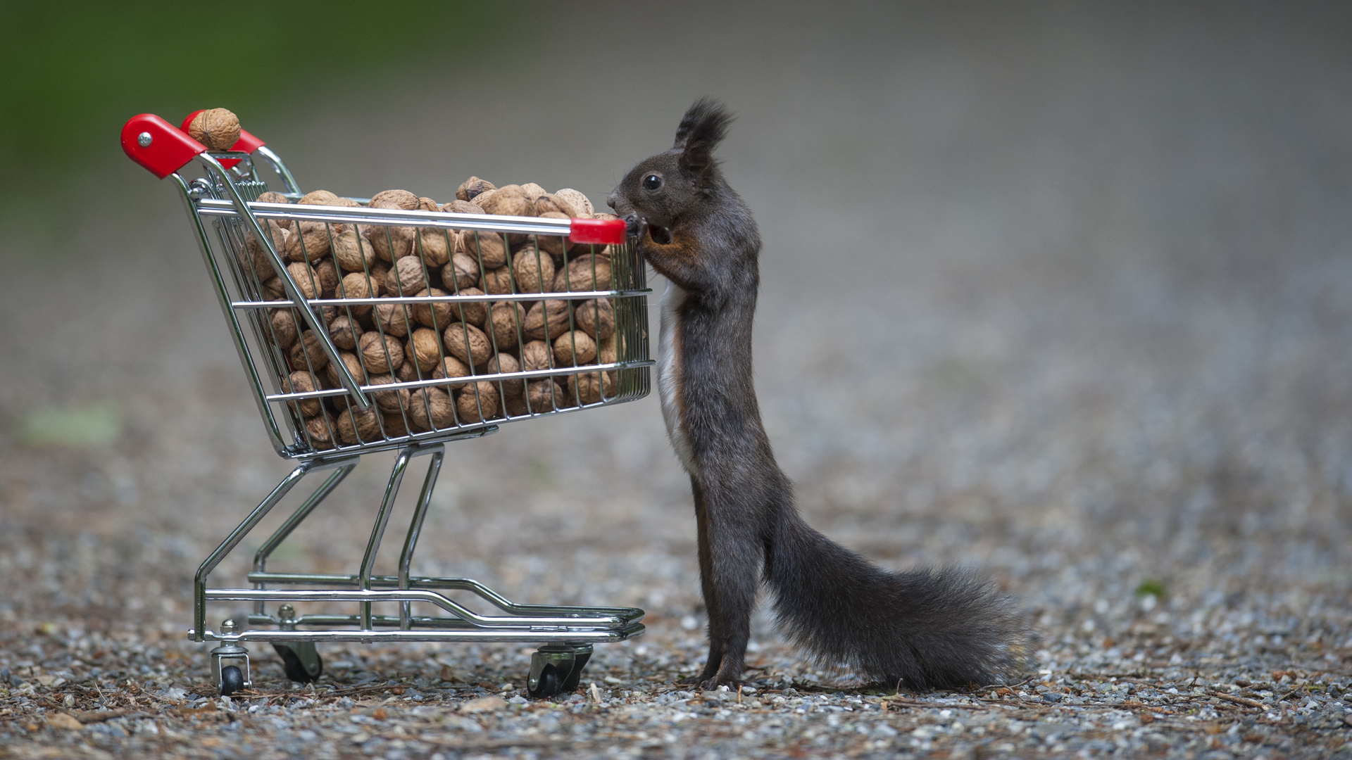 Hab ich nun alle?