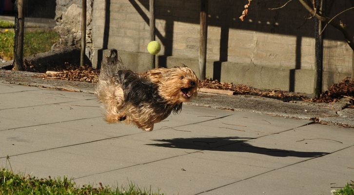 hab ihn..........fast