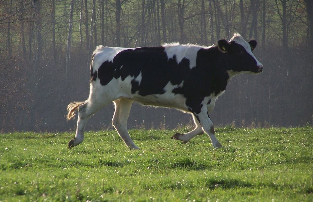 ...hab keine Zeit, tut mir Leid!!!