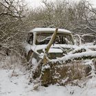 Hab mein altes Auto gegen den Baum gesetzt