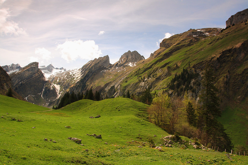 Hab mein Paradies gefunden