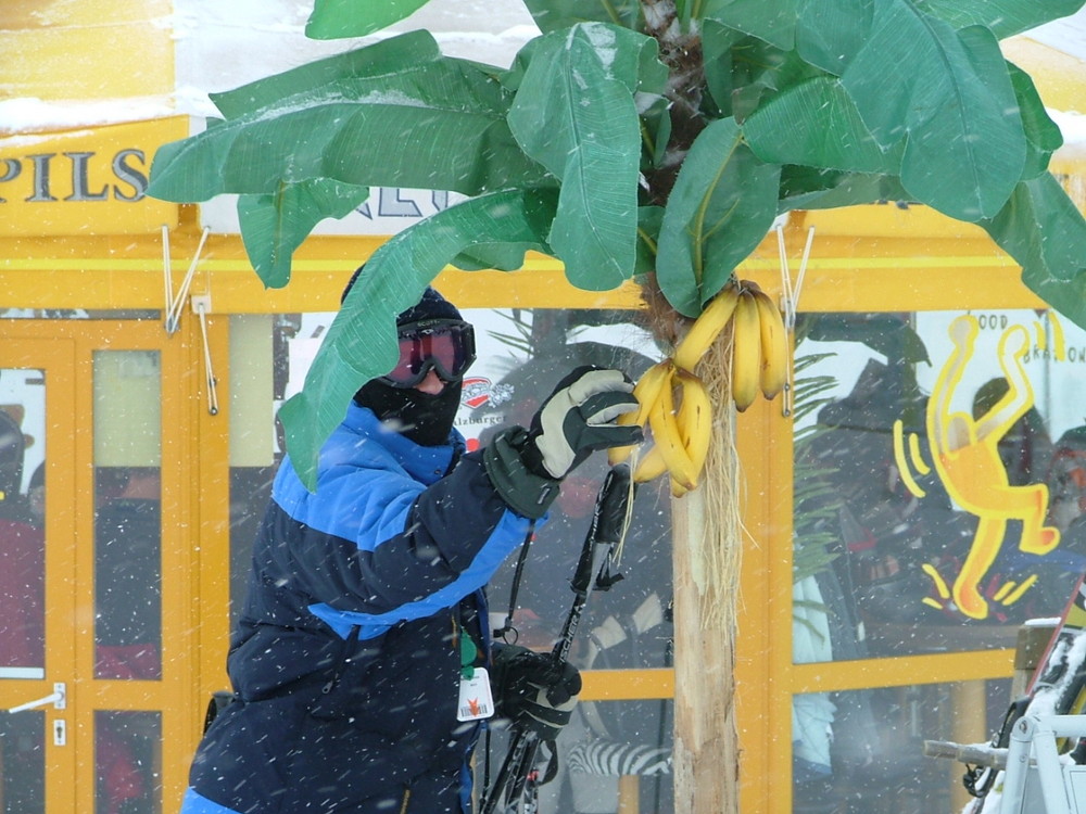 "Hab noch nie Tiefkühl-Bananen gesehen..."