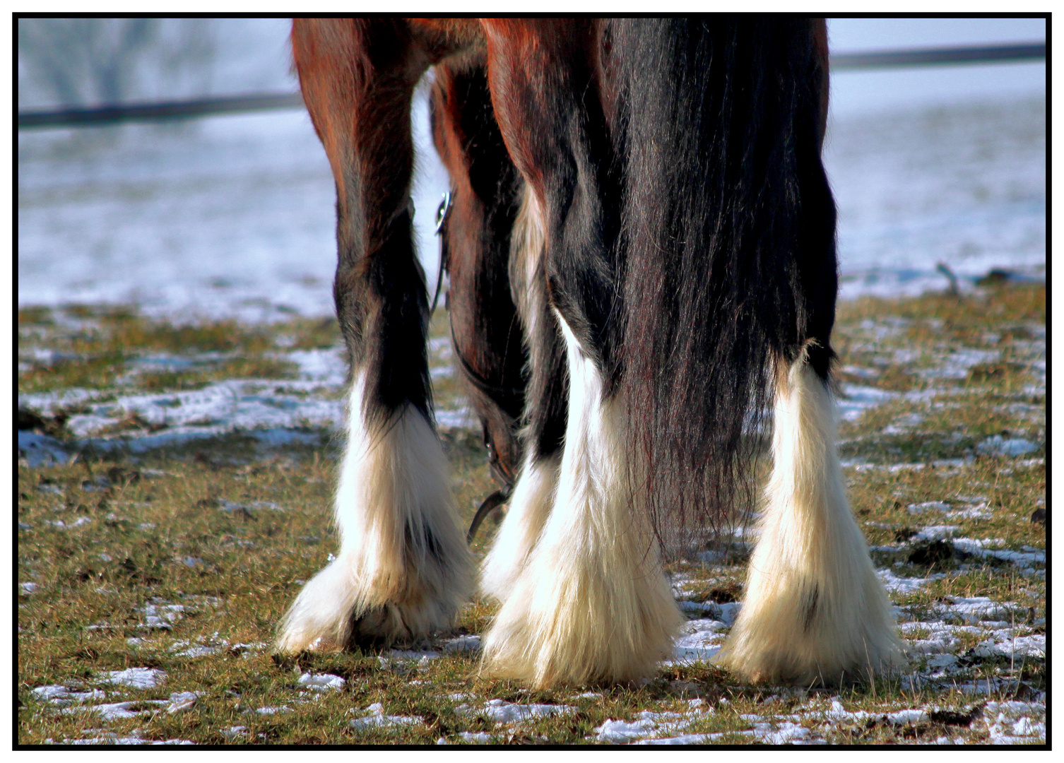 Hab schon mal die Wintersocken an .....