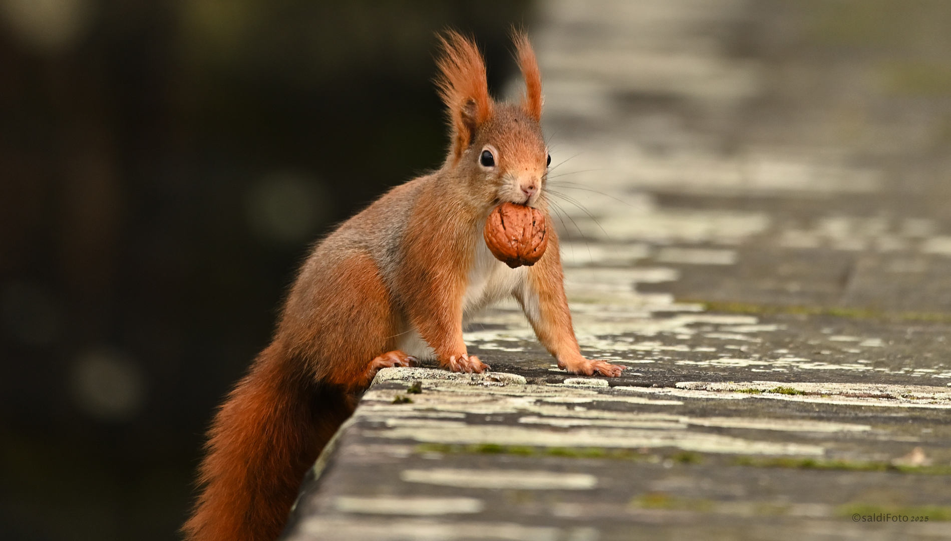 .....hab se gefunden.......