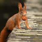 .....hab se gefunden.......