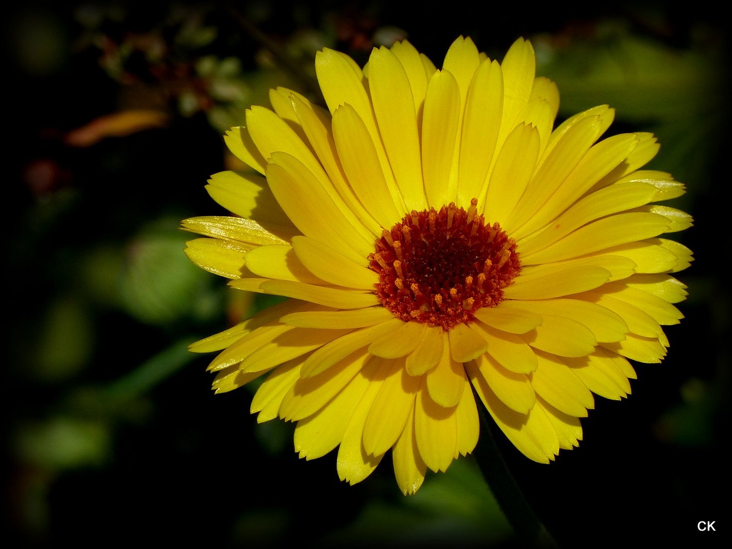 Hab Sonne Im Herzen Foto Amp Bild Natur Herbst