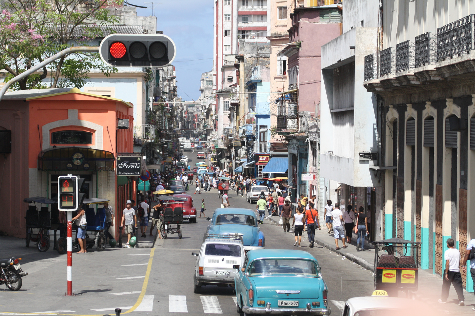 .habana.