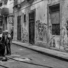 Habana 61