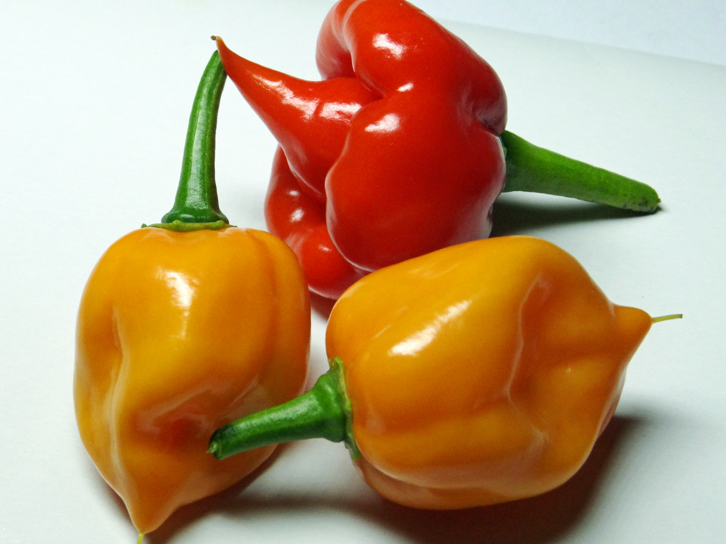 Habanero