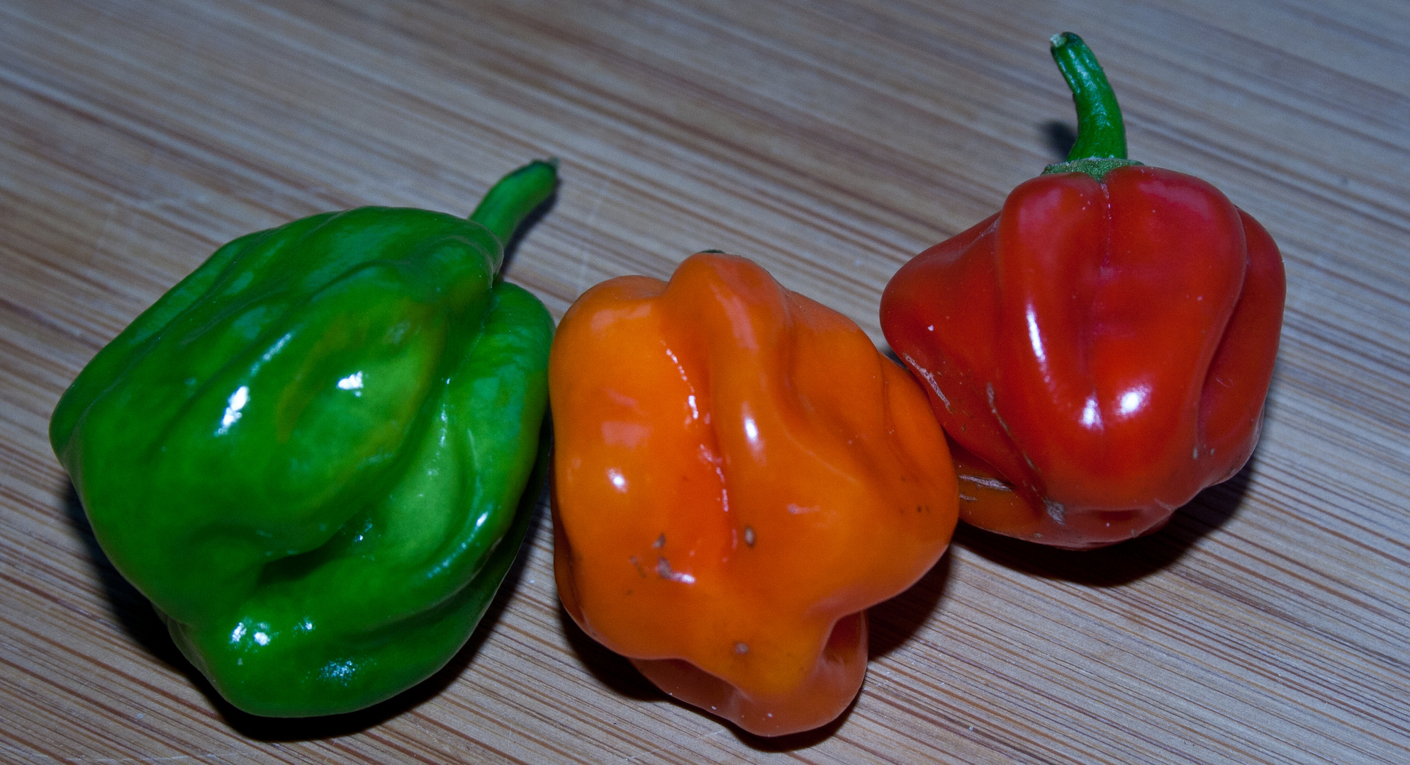 Habanero tricolor