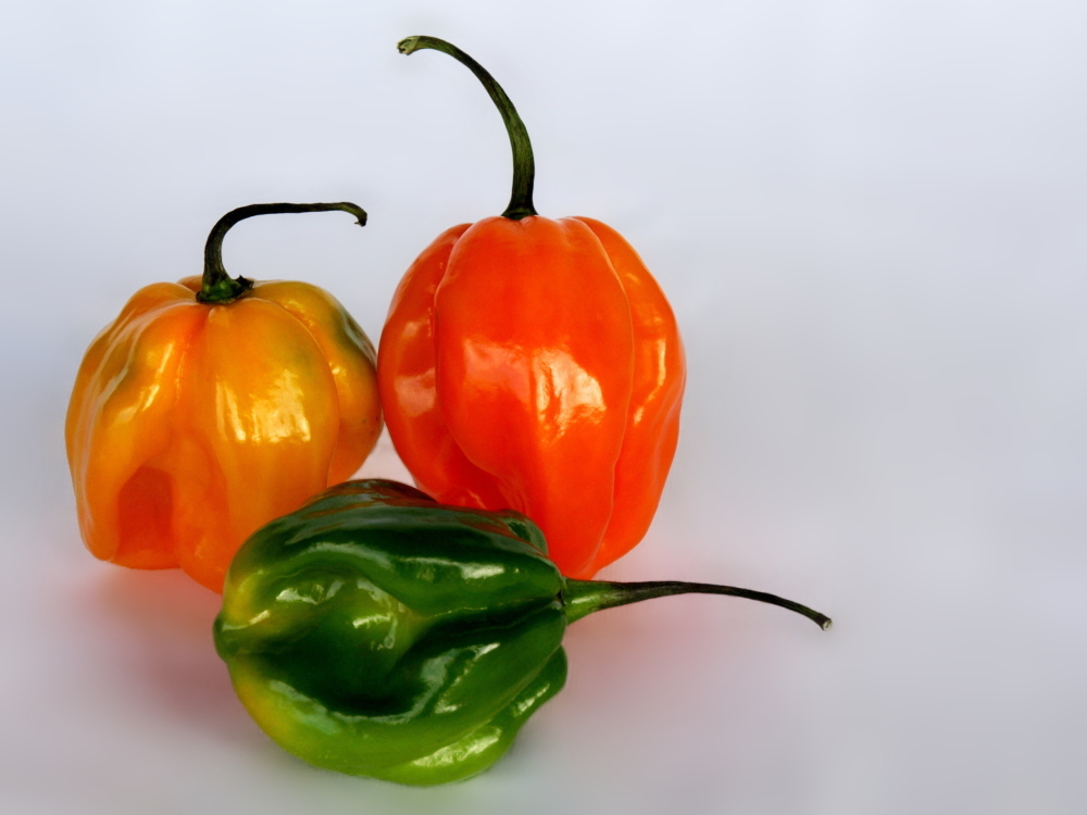 Habaneros