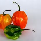 Habaneros