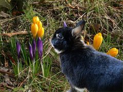 Habe ich etwa Ostern verpasst ?