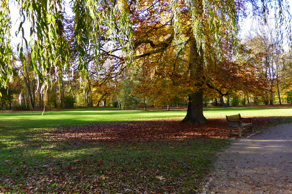 Habe vom Herbst nicht viel mitbekommen