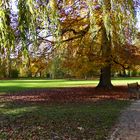 Habe vom Herbst nicht viel mitbekommen