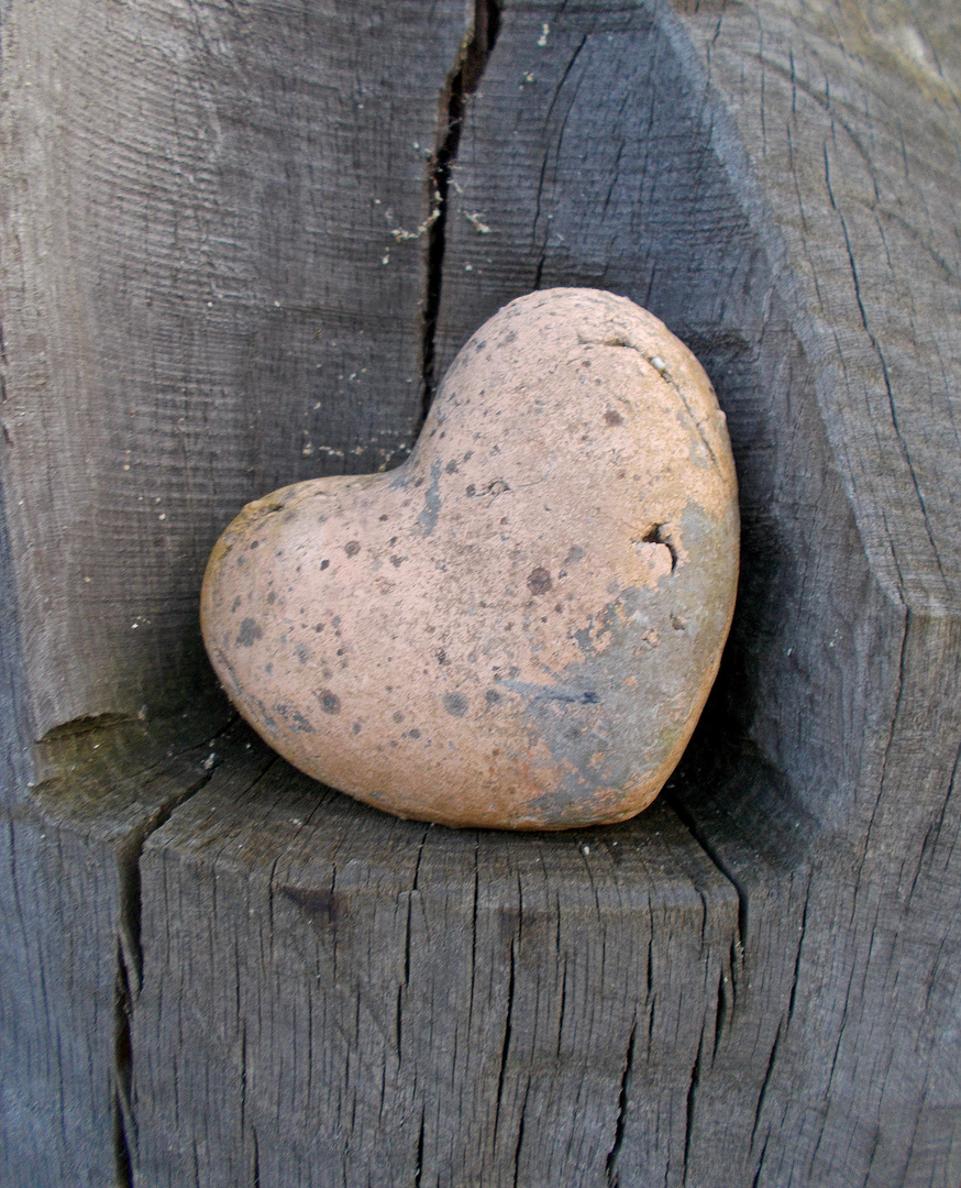 Haben Steine ein Herz? 
