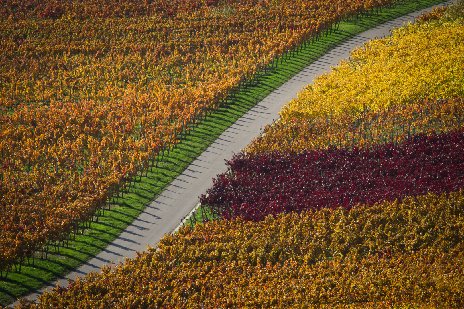 Haberschlachter Weinberge