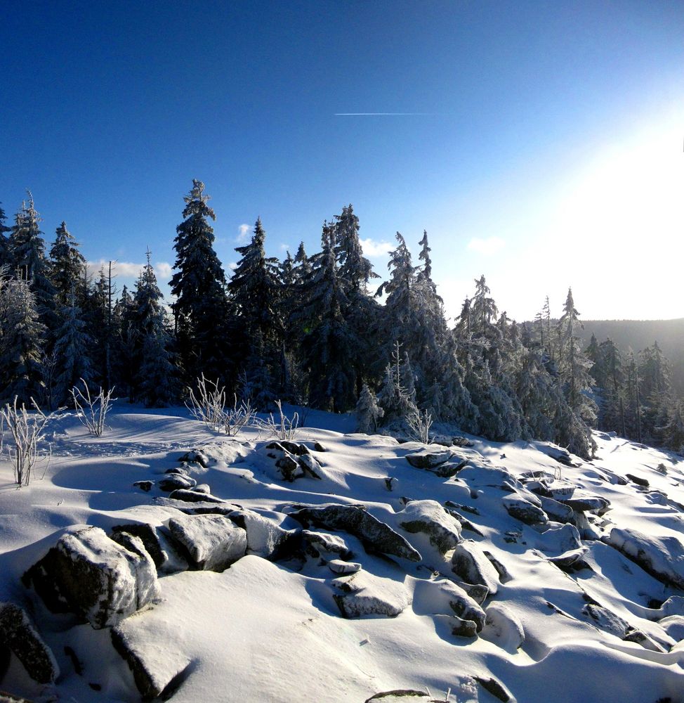 Haberstein-Blockmeer/Fichtelgebirge