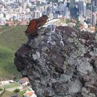 Habiante da Serra do Curral em Belo Horizont -MG