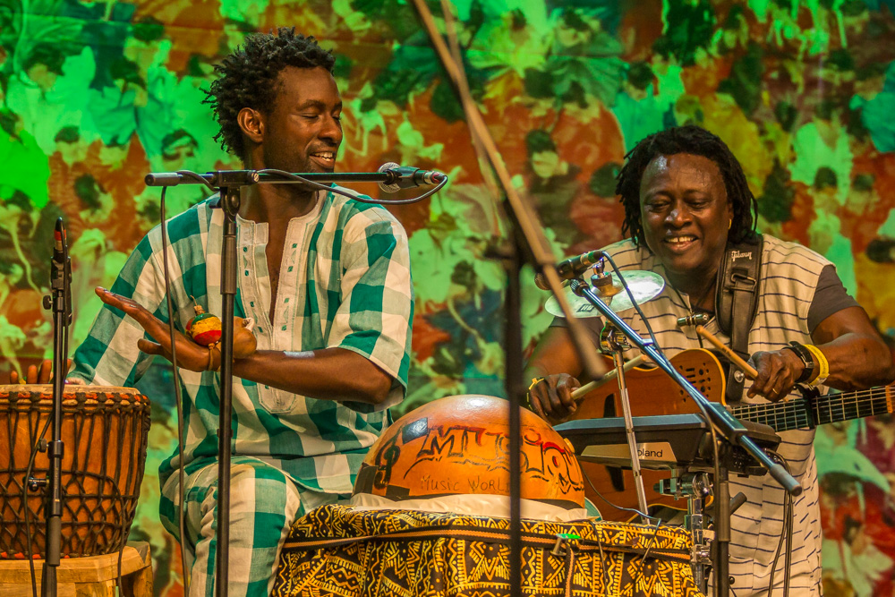 Habib Koité & Band, Nürnberger Bardentreffen, 2.8.2014