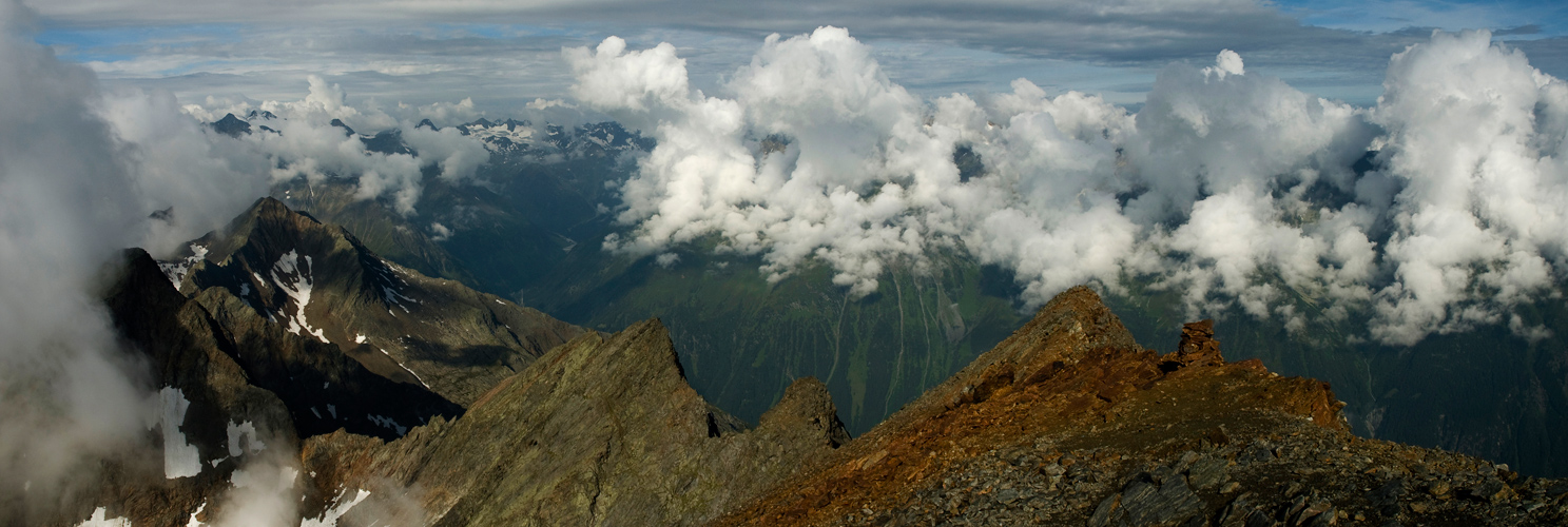 Habicht- Blick (2)