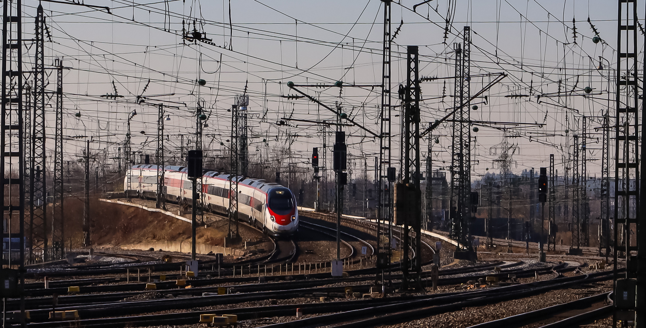 "Habicht" im "Sinkflug"