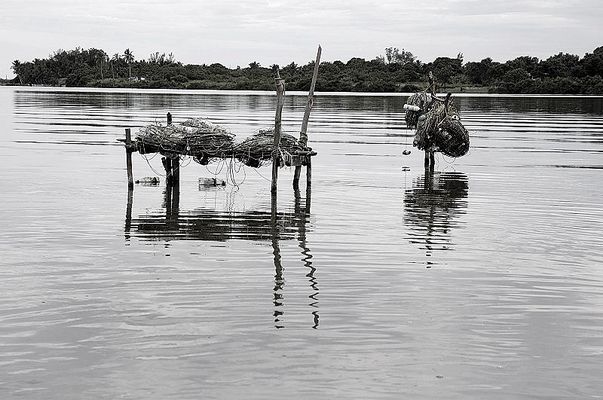 habitación de ensueño