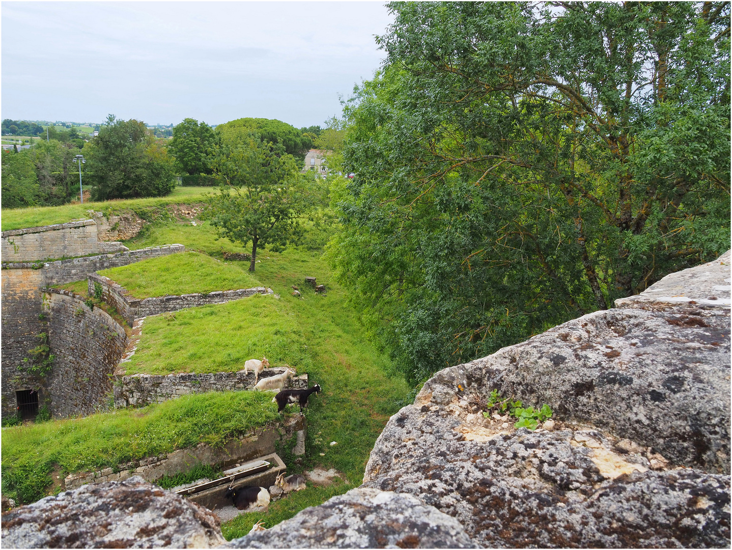 « Habitantes » de la citadelle de Blaye