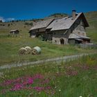 Habitat de montagnard,